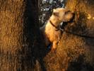 Do I smell a lady? Nope ... just a squirrel.