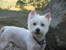 Disrepect? Noooo ... I didn't mean nuthin ... noooo ... I'm just sayin ...